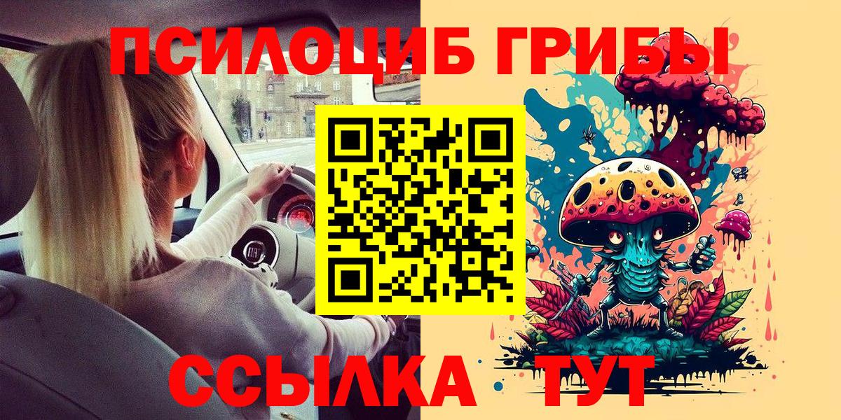 Псилоцибиновые грибы Psilocybe Ханты-Мансийск